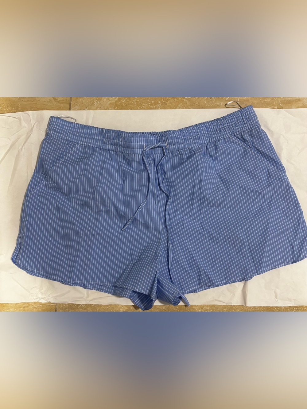 NWOT Zara Light Blue Pinstripe shorts